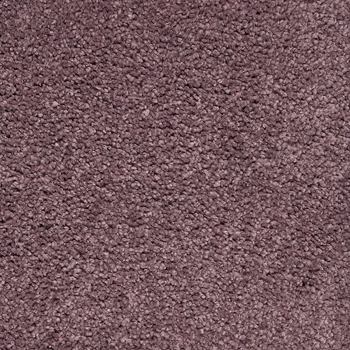 Pure Comfort by Mohawk Industries - Winter Amethyst