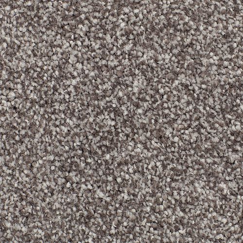 Dried Peat