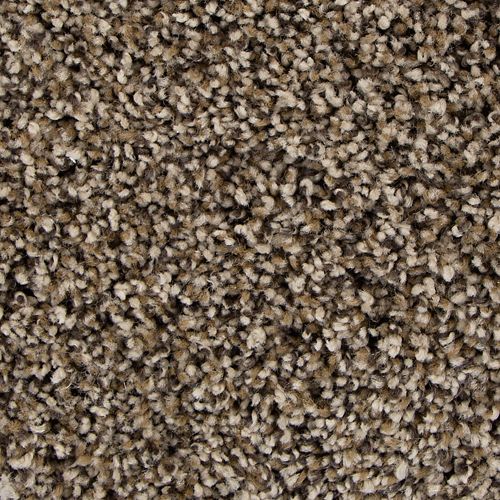 Sand Swept