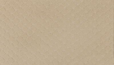SmartStrand