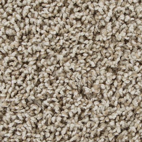 Quiet Beige