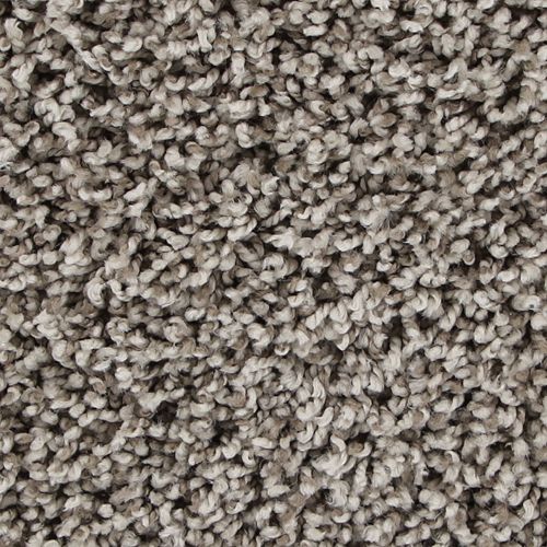 Taupe Whisper