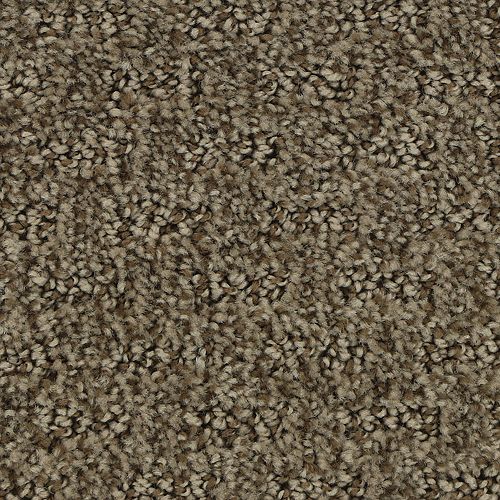 Attractive Trend Malted 883