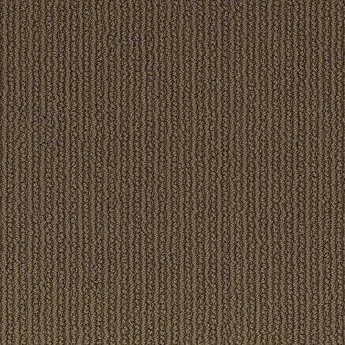 Prairie