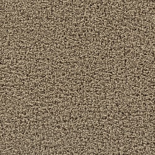 Peanut Shell