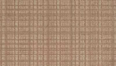 Chic Influence — Acorn Trail