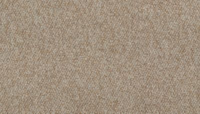 Mohawk Industries Enduring Amazement Wrangler Carpet Augusta, GA