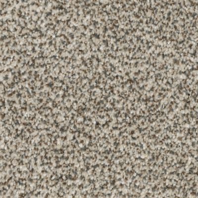 EverStrand Carpet in Majestic - Mohawk Flooring