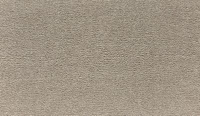 SmartStrand Silk Carpet in Sandy - Mohawk Flooring