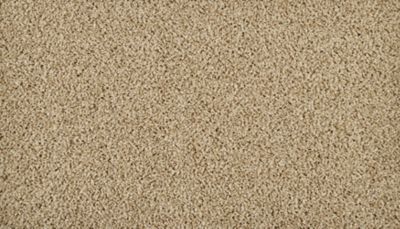 filteredCollection[selectedProductIndex]?.masterStyleNumber