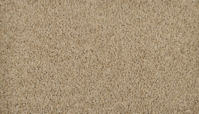 filteredCollection[selectedProductIndex]?.masterStyleNumber