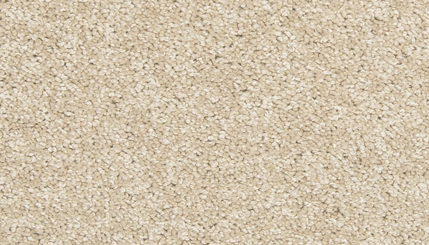 Tectonic, Steelbeam, Carpet | Mohawk Flooring