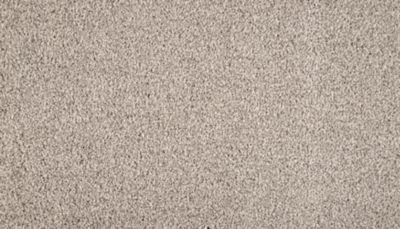 SmartStrand Silk Carpet in Sophisticate - Karastan Flooring