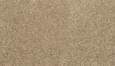 filteredCollection[selectedProductIndex]?.masterStyleNumber