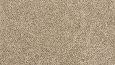 filteredCollection[selectedProductIndex]?.masterStyleNumber