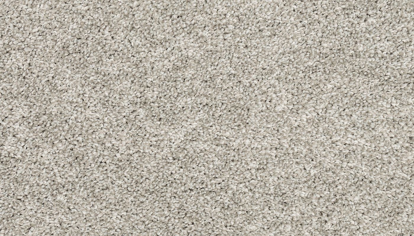 PetPremier Carpet in Mercury - Mohawk Flooring