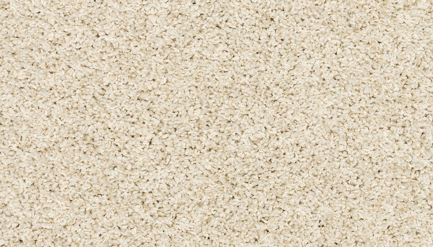 Purrsonality I, Frosty Spice, Carpet | Mohawk Flooring