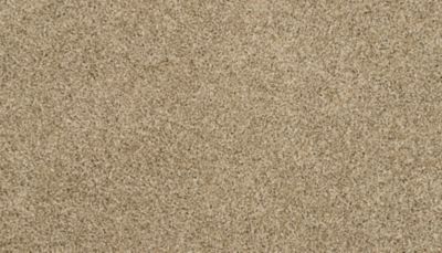 filteredCollection[selectedProductIndex]?.masterStyleNumber