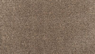 Mohawk Flooring Reverie — Blissful