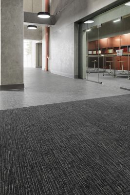 Shifted Focus - Cinematic 987 - Carpet Tile