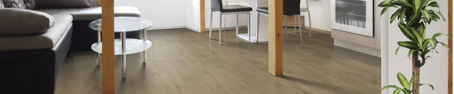 Medium Brown Hardwood floors in a living room