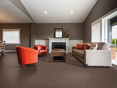 Room Scene of True Harmony - Carpet by Mohawk Flooring