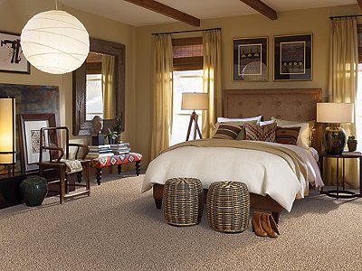 Room Scene of Captiva Coast Fleck - Carpet by Mohawk Flooring