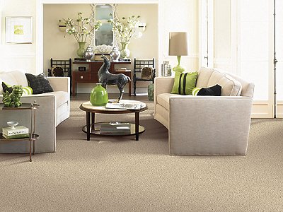 Room Scene of Vibrant Approach - Carpet by Mohawk Flooring