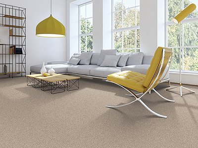 Room Scene of Natural Splendor I - Carpet by Mohawk Flooring