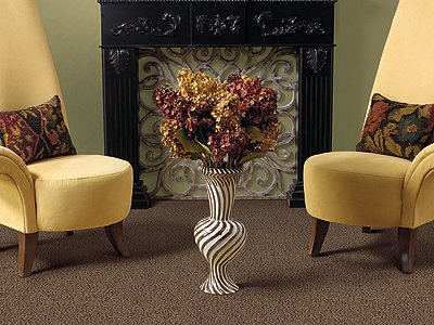 Room Scene of Vivacious - Carpet by Mohawk Flooring