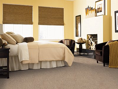 Room Scene of Smart Color - Carpet by Mohawk Flooring
