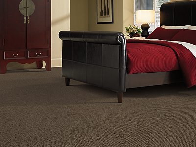 Room Scene of Soothing Manor - Carpet by Mohawk Flooring