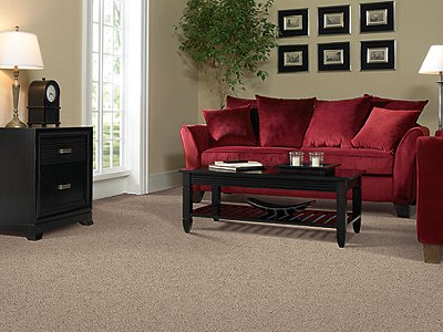 Room Scene of Real Meaning - Carpet by Mohawk Flooring