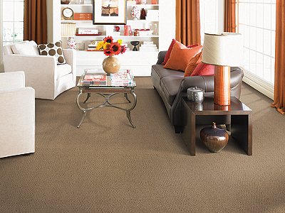 Room Scene of Zeroed In - Carpet by Mohawk Flooring