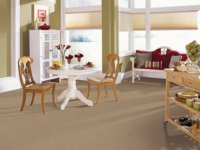 Room Scene of American Tradition - Carpet by Mohawk Flooring