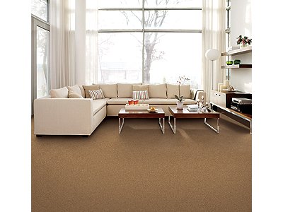 Room Scene of Sensible Style I - Carpet by Mohawk Flooring