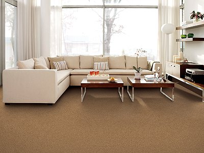 Room Scene of Energetic Style - Carpet by Mohawk Flooring