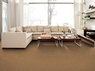 Room Scene of Cheerful View - Carpet by Mohawk Flooring