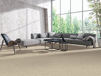 Room Scene of Engaging Mood - Carpet by Mohawk Flooring