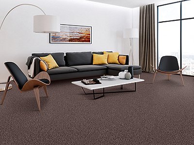 Room Scene of Sensible Style III - Carpet by Mohawk Flooring