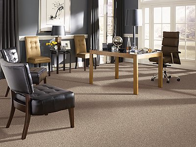 Room Scene of Design Therapy - Carpet by Mohawk Flooring