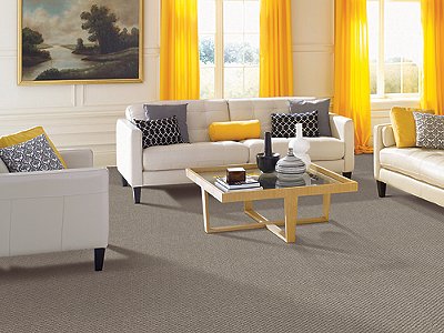 Room Scene of Hidden Treasure - Carpet by Mohawk Flooring