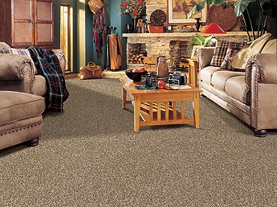 Room Scene of Baycliff - Carpet by Mohawk Flooring