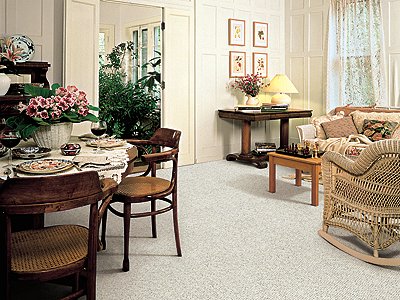 Room Scene of Woodspointe - Carpet by Mohawk Flooring