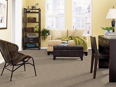 Room Scene of True Perfection - Carpet by Mohawk Flooring