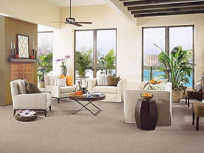 Room Scene of Tranquil View - Carpet by Mohawk Flooring