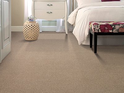 Room Scene of Tranquil Strength Tonal - Carpet by Mohawk Flooring