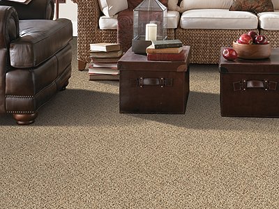 Room Scene of Seaside Delight - Carpet by Mohawk Flooring