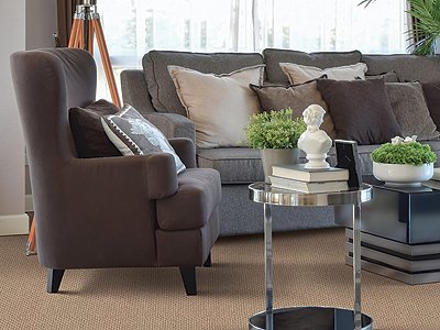 Room Scene of Naturally Elegant - Carpet by Mohawk Flooring