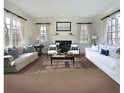Room Scene of Beautiful Addition - Carpet by Mohawk Flooring